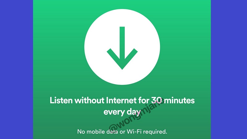 spotify 30 dakika internetsiz muzik