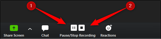 zoom record pause stop