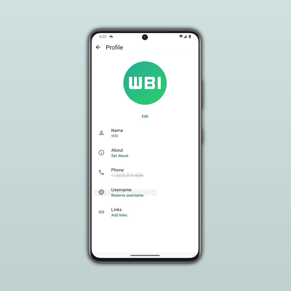 whatsapp kullanici adi
